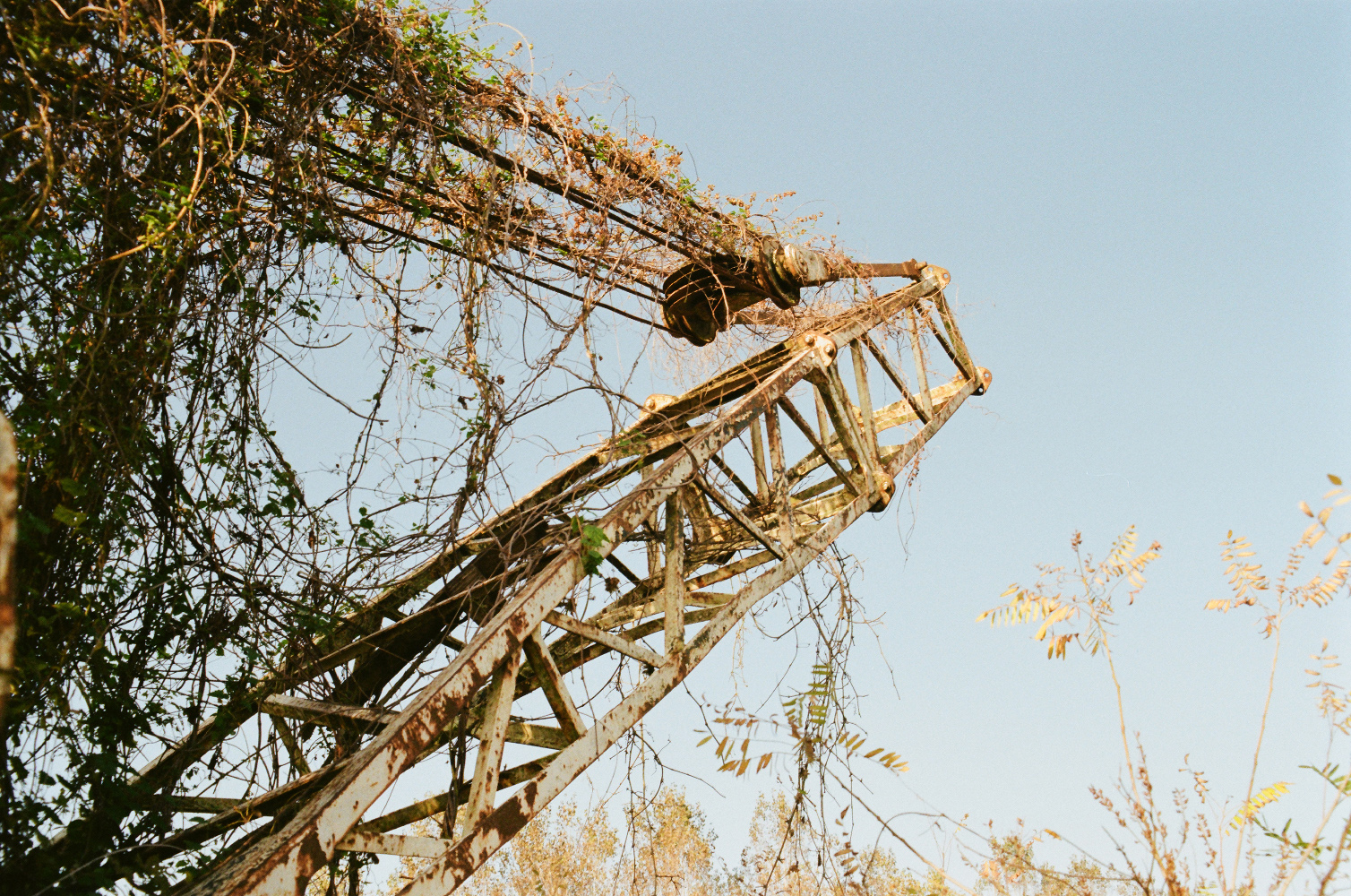 Crane photo-1